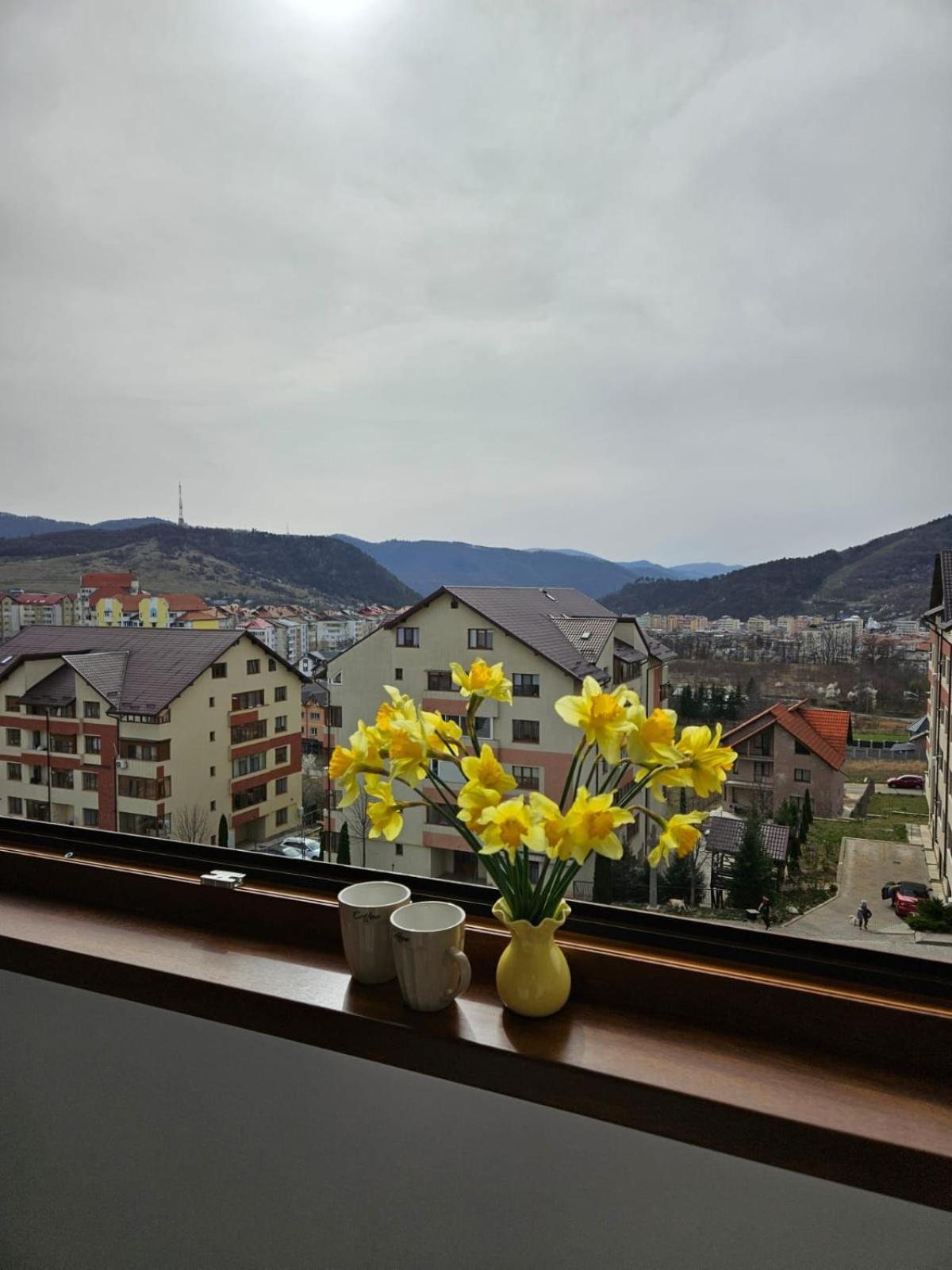 Tei Residence Piatra Neamt Exterior photo